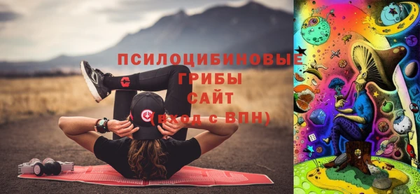 гидропоника Михайлов