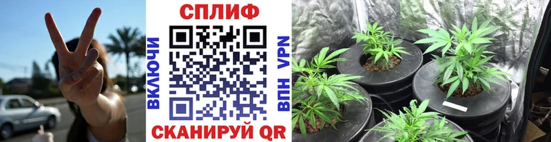 мориарти Telegram  ссылка на мегу ссылки  Рязань  наркотики  Каннабис Ganja 